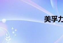 美孚力霸10w30