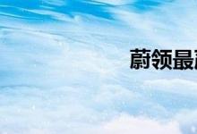 蔚领最严重的缺点