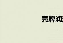 壳牌润滑油价格表