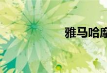 雅马哈摩托艇价格表