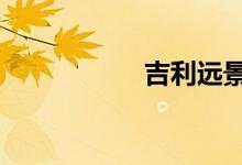 吉利远景x1致命缺点