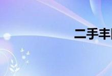 二手丰田塞纳出售
