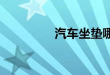 汽车坐垫哪个牌子质量好