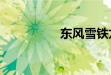 东风雪铁龙c5最大缺点