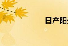 日产阳光致命缺点