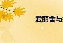 爱丽舍与捷达哪个耐用