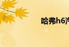 哈弗h6汽车最大缺点