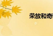 荣放和奇骏哪个更耐用