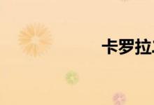 卡罗拉二手车价格