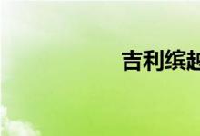 吉利缤越有什么毛病