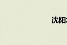 沈阳北到大连