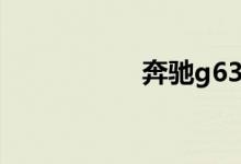 奔驰g636 6国内价格
