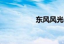 东风风光330致命缺点
