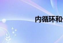 内循环和外循环的标志