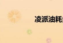 凌派油耗多少真实油耗