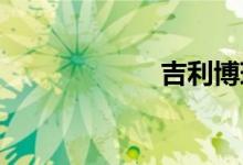吉利博瑞买后悔了