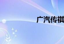 广汽传祺gs5致命缺点