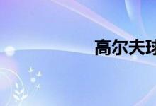 高尔夫球多少钱一个