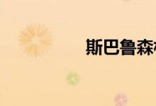 斯巴鲁森林人最大缺点