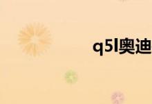 q5l奥迪报价2019款