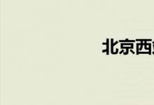 北京西站列车停运