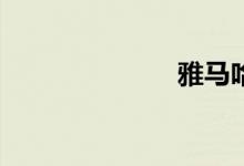 雅马哈迅鹰125