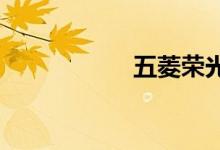 五菱荣光s1.5标准型
