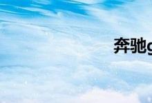 奔驰g300报价