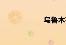 乌鲁木齐今天咋了