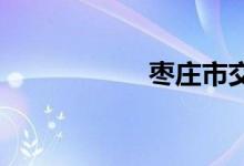 枣庄市交警违章查询