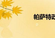 帕萨特政采版能买吗