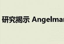 研究揭示 Angelman 综合征癫痫背后的机制