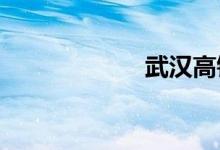 武汉高铁站在哪里