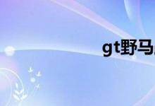 gt野马跑车多少钱