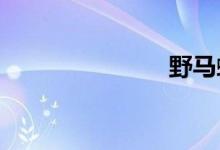 野马蝰蛇报价
