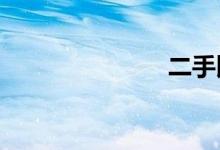 二手比亚迪s8