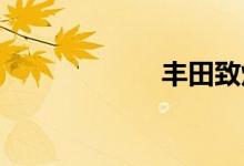 丰田致炫缺点揭密