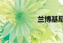 兰博基尼urus落地价