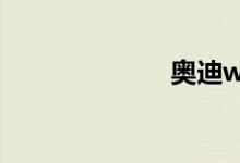 奥迪w12多少钱