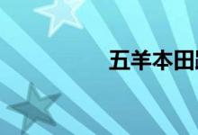 五羊本田踏板车哪款好