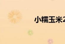 小糯玉米2023款落地价