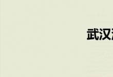武汉汽油价格
