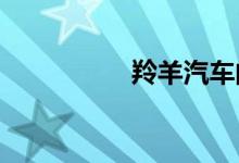 羚羊汽车的最大的缺点