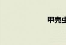 甲壳虫敞篷报价