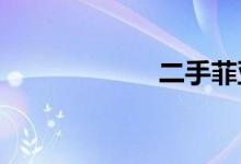 二手菲亚特派力奥