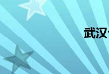 武汉公交路线