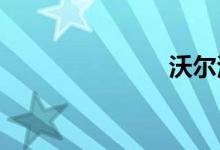 沃尔沃哪国车