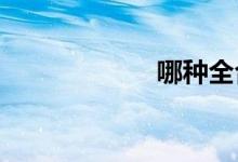 哪种全合成机油好