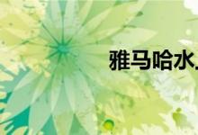 雅马哈水上摩托艇价格