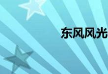 东风风光560毛病多吗